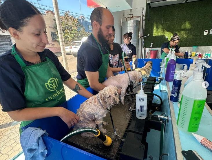 Unidade Bable Banho — resultado
